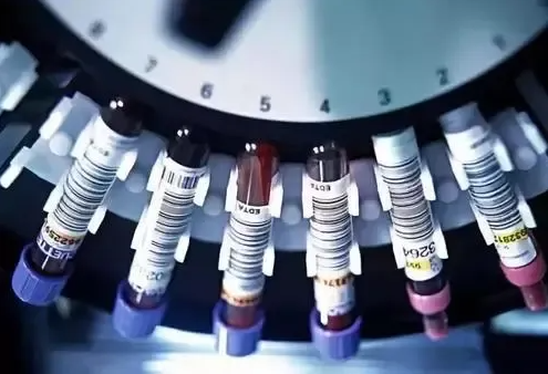 QQ截图20220601113235