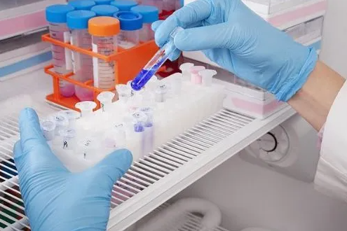 QQ截图20220601154223