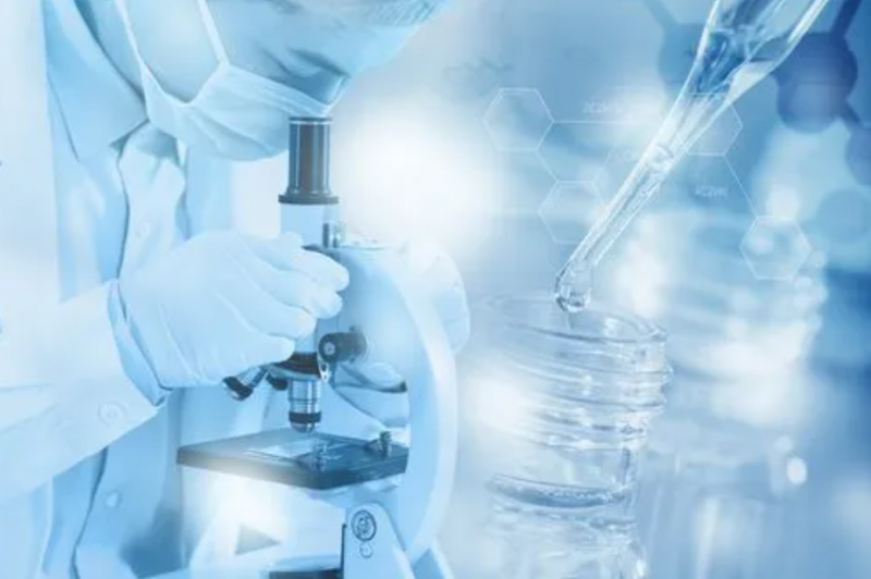 QQ截图20220613090934