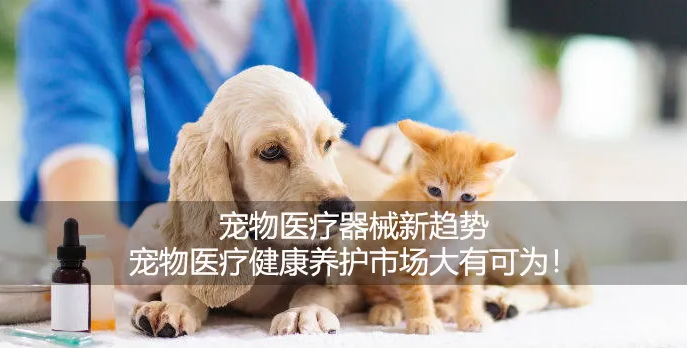 QQ截图20220622172914