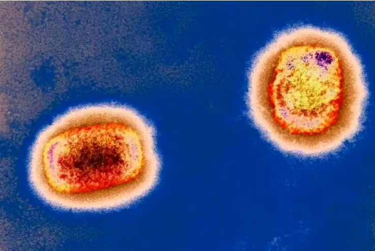 QQ截图20220715164931